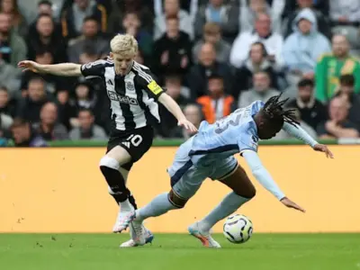 Prediksi Tottenham vs Newcastle